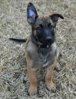 processed/2f2943d3-bac2-4032-8e9f-c86b580c83fe/listing/2076bf16-da63-4cc1-a73a-938af0e87899/5a11efe3-35c9-418f-8f5d-de0d601de1fb