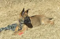 processed/2f2943d3-bac2-4032-8e9f-c86b580c83fe/listing/2076bf16-da63-4cc1-a73a-938af0e87899/d8584d21-b47b-4d19-b751-39be1133d94d