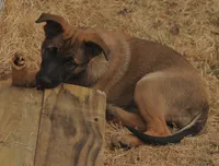 processed/2f2943d3-bac2-4032-8e9f-c86b580c83fe/listing/2076bf16-da63-4cc1-a73a-938af0e87899/f8279b53-e077-4a40-b453-811ecafe6fa0