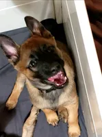 processed/2f2943d3-bac2-4032-8e9f-c86b580c83fe/listing/2d6546d7-0fa5-42ca-aa5d-7fa7014aec6f/18a52e0d-33d3-4fa0-8847-531b926c502a