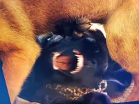 processed/2f2943d3-bac2-4032-8e9f-c86b580c83fe/listing/2d6546d7-0fa5-42ca-aa5d-7fa7014aec6f/e596af0b-0396-4a71-bcc7-8432459e933e