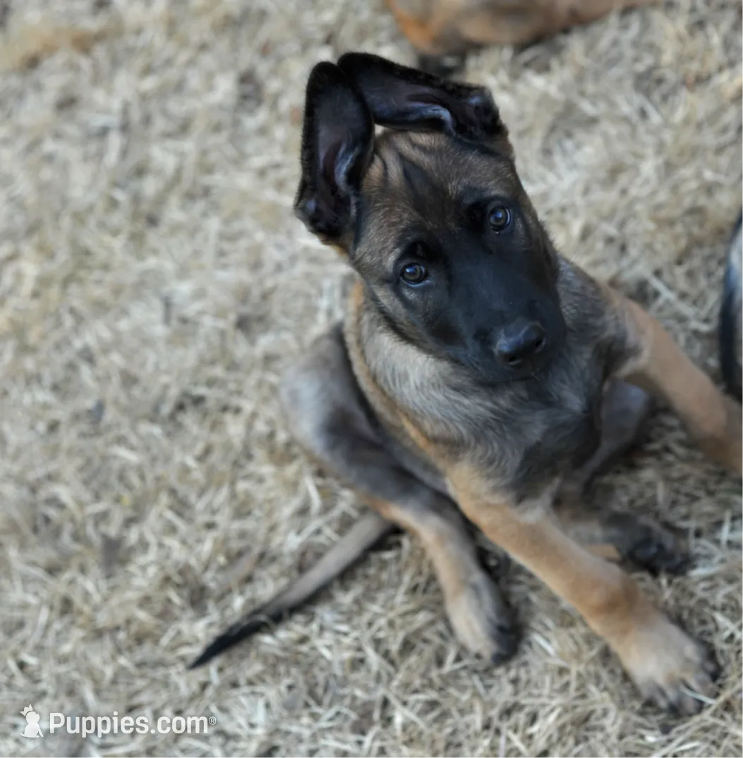 processed/2f2943d3-bac2-4032-8e9f-c86b580c83fe/listing/ab27e0bd-d820-4e89-bba5-4aeca8972385/0463b2b0-8d8a-4f02-bf38-8e23ccb9d173