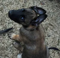 processed/2f2943d3-bac2-4032-8e9f-c86b580c83fe/listing/ab27e0bd-d820-4e89-bba5-4aeca8972385/519dc355-6e45-41fe-a6fb-66bdfc98eaf9