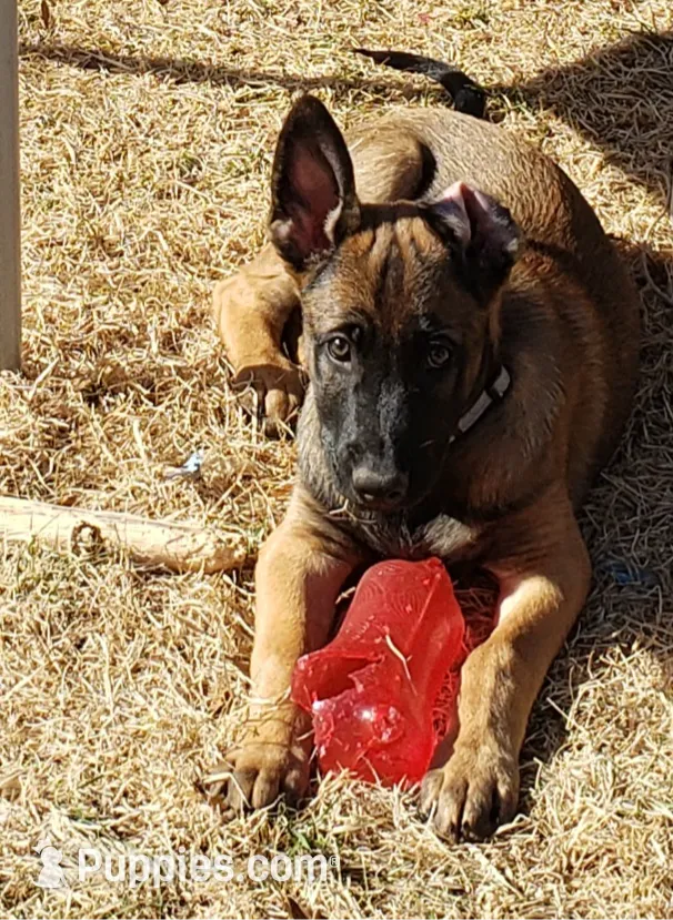 processed/2f2943d3-bac2-4032-8e9f-c86b580c83fe/listing/ab27e0bd-d820-4e89-bba5-4aeca8972385/55073f74-ee28-43d6-9d2e-a7a012a51a7f