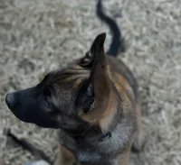 processed/2f2943d3-bac2-4032-8e9f-c86b580c83fe/listing/ab27e0bd-d820-4e89-bba5-4aeca8972385/7951cfb6-03b6-4553-9a29-af4309c66db5