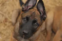 processed/2f2943d3-bac2-4032-8e9f-c86b580c83fe/listing/ab27e0bd-d820-4e89-bba5-4aeca8972385/7e89ab14-f845-4cde-81cb-99ac2145b4af