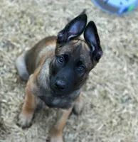 processed/2f2943d3-bac2-4032-8e9f-c86b580c83fe/listing/ab27e0bd-d820-4e89-bba5-4aeca8972385/9208ad31-fd74-441f-b1a5-1015246adb28