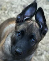 processed/2f2943d3-bac2-4032-8e9f-c86b580c83fe/listing/ab27e0bd-d820-4e89-bba5-4aeca8972385/d85d3a76-9a52-433b-9518-3d7255233e46