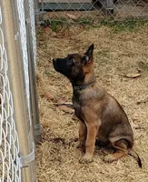 processed/2f2943d3-bac2-4032-8e9f-c86b580c83fe/listing/ab27e0bd-d820-4e89-bba5-4aeca8972385/e98b1fae-2306-476c-a569-7653388fa238