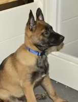 processed/2f2943d3-bac2-4032-8e9f-c86b580c83fe/listing/ac822a15-2e08-4b4d-b43c-4b6e43e4ca24/13b16a05-4442-4e15-861c-9ce43e4c44e3