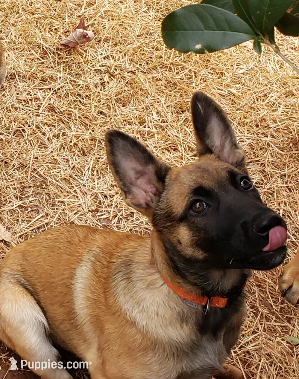 processed/2f2943d3-bac2-4032-8e9f-c86b580c83fe/listing/dde5e2a1-b156-4acb-be40-84cb0960e548/2cdc373c-8677-4eed-b0b0-17b93b693f61