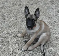 processed/2f2943d3-bac2-4032-8e9f-c86b580c83fe/listing/dde5e2a1-b156-4acb-be40-84cb0960e548/349af6fa-ea23-48a1-a6a9-fad9fc78ab6b