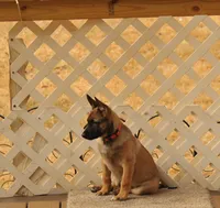 processed/2f2943d3-bac2-4032-8e9f-c86b580c83fe/listing/dde5e2a1-b156-4acb-be40-84cb0960e548/50c591fb-64e2-44e4-9a5e-b89babca3c22