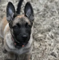 processed/2f2943d3-bac2-4032-8e9f-c86b580c83fe/listing/dde5e2a1-b156-4acb-be40-84cb0960e548/dcf95cb5-7076-4960-a065-7cbd68f1f968