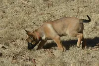 processed/2f2943d3-bac2-4032-8e9f-c86b580c83fe/listing/dde5e2a1-b156-4acb-be40-84cb0960e548/f439f166-4881-425c-be63-9a6c5ba2000d