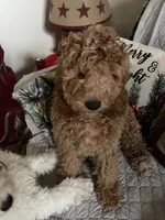 processed/2f2aecdd-eae4-4687-95fb-699257a531d5/listing/f9af1755-ac61-45a3-8eb5-6293769bdb60/08e167e8-4940-4d98-a692-3d182e14dd00