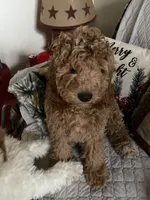 processed/2f2aecdd-eae4-4687-95fb-699257a531d5/listing/f9af1755-ac61-45a3-8eb5-6293769bdb60/d53b82ce-4ced-4132-aa1d-1383b99f3ea3