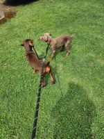 processed/2f3044f5-b8e3-498f-9416-50f2219a5342/facility/271b379c-6abe-4d13-a529-fbe11eb5b87d