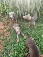 processed/2f3044f5-b8e3-498f-9416-50f2219a5342/facility/7ee26a8d-5771-42a0-bbda-15b1f4600df2