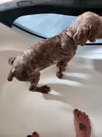 processed/2f3044f5-b8e3-498f-9416-50f2219a5342/facility/d97b9a45-b553-43b9-8f43-d90f88a5bc7f