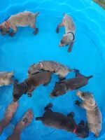 processed/2f3044f5-b8e3-498f-9416-50f2219a5342/facility/dd6b77d4-e2a3-418b-a86c-6ca82e39a6f7