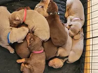 processed/2f3044f5-b8e3-498f-9416-50f2219a5342/facility/f59de8c3-8608-4c4e-bff0-85b74196fb02