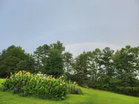 processed/2f3044f5-b8e3-498f-9416-50f2219a5342/facility/ff4de7bb-272c-4528-b2c6-8fc1f039800a