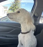 processed/2f3534cb-299a-4294-b646-9bdb3e7f78ff/listing/4f643f77-7945-4eea-b810-b99d14f8e7c3/71e36e09-29e9-48e9-a86b-988d5fdc0d72