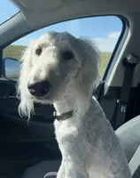 processed/2f3534cb-299a-4294-b646-9bdb3e7f78ff/listing/4f643f77-7945-4eea-b810-b99d14f8e7c3/89d6a0b5-17fb-430e-9f7c-825467cc93e6