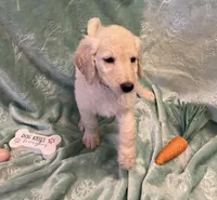 processed/2f3534cb-299a-4294-b646-9bdb3e7f78ff/listing/4f643f77-7945-4eea-b810-b99d14f8e7c3/dd26cb07-c918-47b3-aae1-14a52f574038