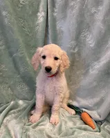 processed/2f3534cb-299a-4294-b646-9bdb3e7f78ff/listing/4f643f77-7945-4eea-b810-b99d14f8e7c3/e7fbd9fa-c38c-4850-9b3a-a8a884046f42