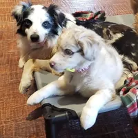 processed/2f3b56a1-9d65-4d0b-9779-2b35ca909aa1/facility/6f467aa8-9803-4f32-a8ec-e7fe99589328