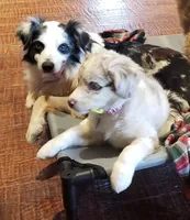 processed/2f3b56a1-9d65-4d0b-9779-2b35ca909aa1/facility/6f467aa8-9803-4f32-a8ec-e7fe99589328