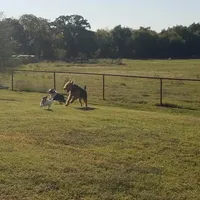 processed/2f3b56a1-9d65-4d0b-9779-2b35ca909aa1/facility/8ff6551e-bec3-4e4d-a3fa-c1e202f257ff