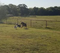 processed/2f3b56a1-9d65-4d0b-9779-2b35ca909aa1/facility/8ff6551e-bec3-4e4d-a3fa-c1e202f257ff