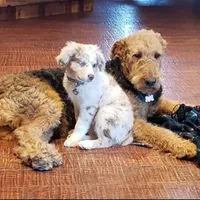 processed/2f3b56a1-9d65-4d0b-9779-2b35ca909aa1/facility/ad8e5d2a-97b7-432c-83a5-c8729fedc42b