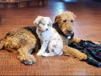 processed/2f3b56a1-9d65-4d0b-9779-2b35ca909aa1/facility/ad8e5d2a-97b7-432c-83a5-c8729fedc42b