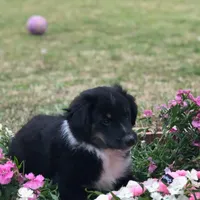 processed/2f3b56a1-9d65-4d0b-9779-2b35ca909aa1/facility/c195c75e-1a07-4e61-961b-d0c5df2fb068