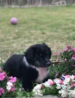 processed/2f3b56a1-9d65-4d0b-9779-2b35ca909aa1/facility/c195c75e-1a07-4e61-961b-d0c5df2fb068