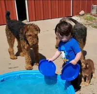 processed/2f3b56a1-9d65-4d0b-9779-2b35ca909aa1/facility/d62f8c1d-af8d-4ed7-9bbf-3865012846ca