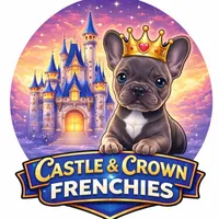 Iris-AKC French Bulldog. Female lilac frenchie , a female French Bulldog for sale in Corona, CA – Photo 3 of 3
