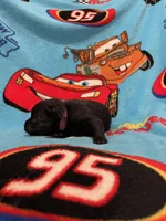 Lizzie , a female Schipperke for sale in Greenwell Springs, LA – Photo 4 of 5