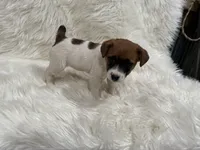 processed/2f51a86d-f991-408b-999f-2e75fbb89263/listing/0140810d-d2cf-4a35-8a93-793d8bdfd642/27e68b28-f8c0-4833-8d3d-23802abee130