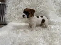 processed/2f51a86d-f991-408b-999f-2e75fbb89263/listing/0140810d-d2cf-4a35-8a93-793d8bdfd642/281fc462-deae-414c-b41a-143e72d2c428