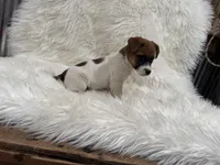 processed/2f51a86d-f991-408b-999f-2e75fbb89263/listing/0140810d-d2cf-4a35-8a93-793d8bdfd642/c8e67ed7-dcf4-4d12-96c6-5d7f443462f0