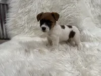 processed/2f51a86d-f991-408b-999f-2e75fbb89263/listing/0140810d-d2cf-4a35-8a93-793d8bdfd642/e80265c1-8b23-4d55-8a05-b2ee8fb318b5