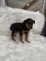 processed/2f51a86d-f991-408b-999f-2e75fbb89263/listing/028c5468-ed77-4d61-9641-4e6969a20f39/c22f5d49-ea92-4f4e-99d9-5a3b0dc94e81