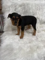 processed/2f51a86d-f991-408b-999f-2e75fbb89263/listing/028c5468-ed77-4d61-9641-4e6969a20f39/fa0a7347-58e4-4514-9181-55929cbc60b7