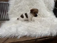 processed/2f51a86d-f991-408b-999f-2e75fbb89263/listing/2ab16013-3721-4cdc-98ad-552aefe7bfe2/0212eda7-3ef9-462d-8495-a1dd9967fc5e