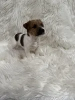 processed/2f51a86d-f991-408b-999f-2e75fbb89263/listing/2ab16013-3721-4cdc-98ad-552aefe7bfe2/3ea1f6e5-73a6-4919-b136-f99306726d92